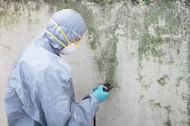 Best Residential Mold Inspection & Testing  in Countryside, VA